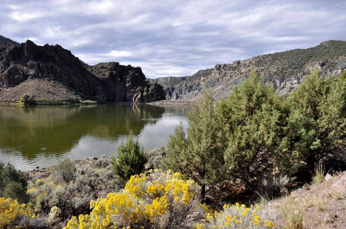 LincolnNV's tweet photo. @ThisIsReno showcases Lincoln County's fishing getaway! https://t.co/0EW46r4QD0 @NVStateParks @TravelNevada #GetPrimitive #VisitLincolnCountyNV https://t.co/2VQtHtE5wE