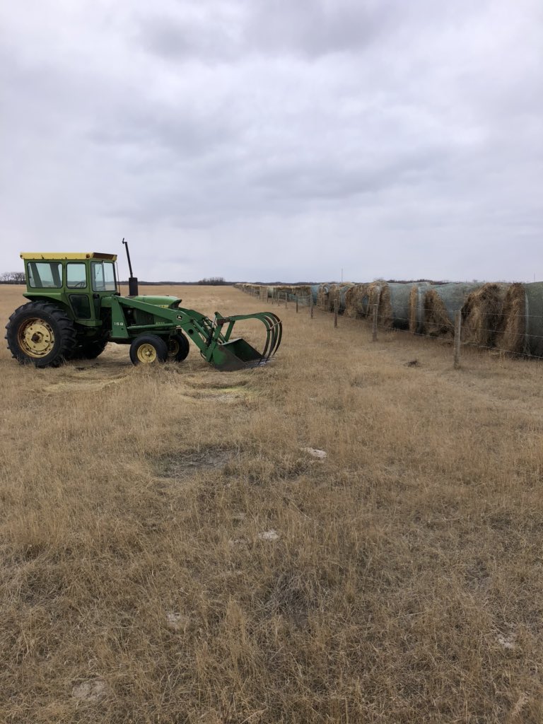 crazyrancher13's tweet photo. For my fall feeding, before I get to my bale grazing, I stack bales across the fence in a field. I usually use an area that is not conducive to bale grazing. Then I come out every couple days and roll out the required bales. It’s a version of bale grazing. 🤷🏻‍♂️😎#pasturehealth https://t.co/EpRnZuGlyH