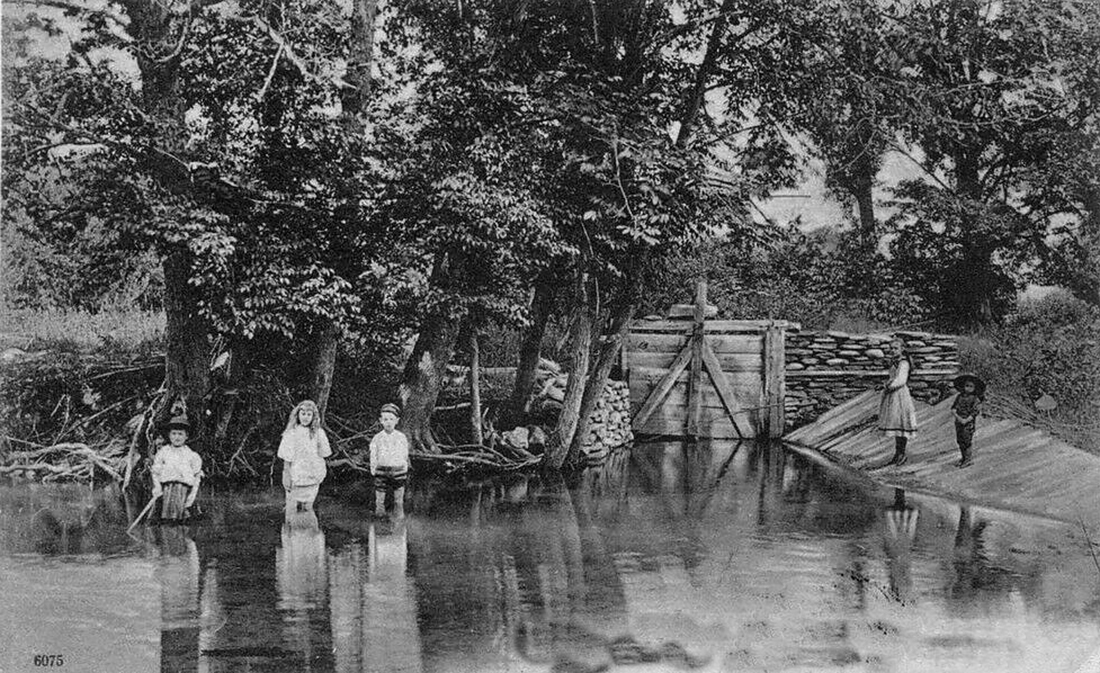 Vintage Catskill Mountains
Seeley Dam Hensonville NY, Catskill Mountains, Greene County NY 1908
#catskills ##hudsonvalley #upstateny #catskillmountains #iloveny #catsofinstagram #nature #catskillsny #greenecounty #thecatskills
https://t.co/a6kTncQVGK https://t.co/b1CBVfeZ50