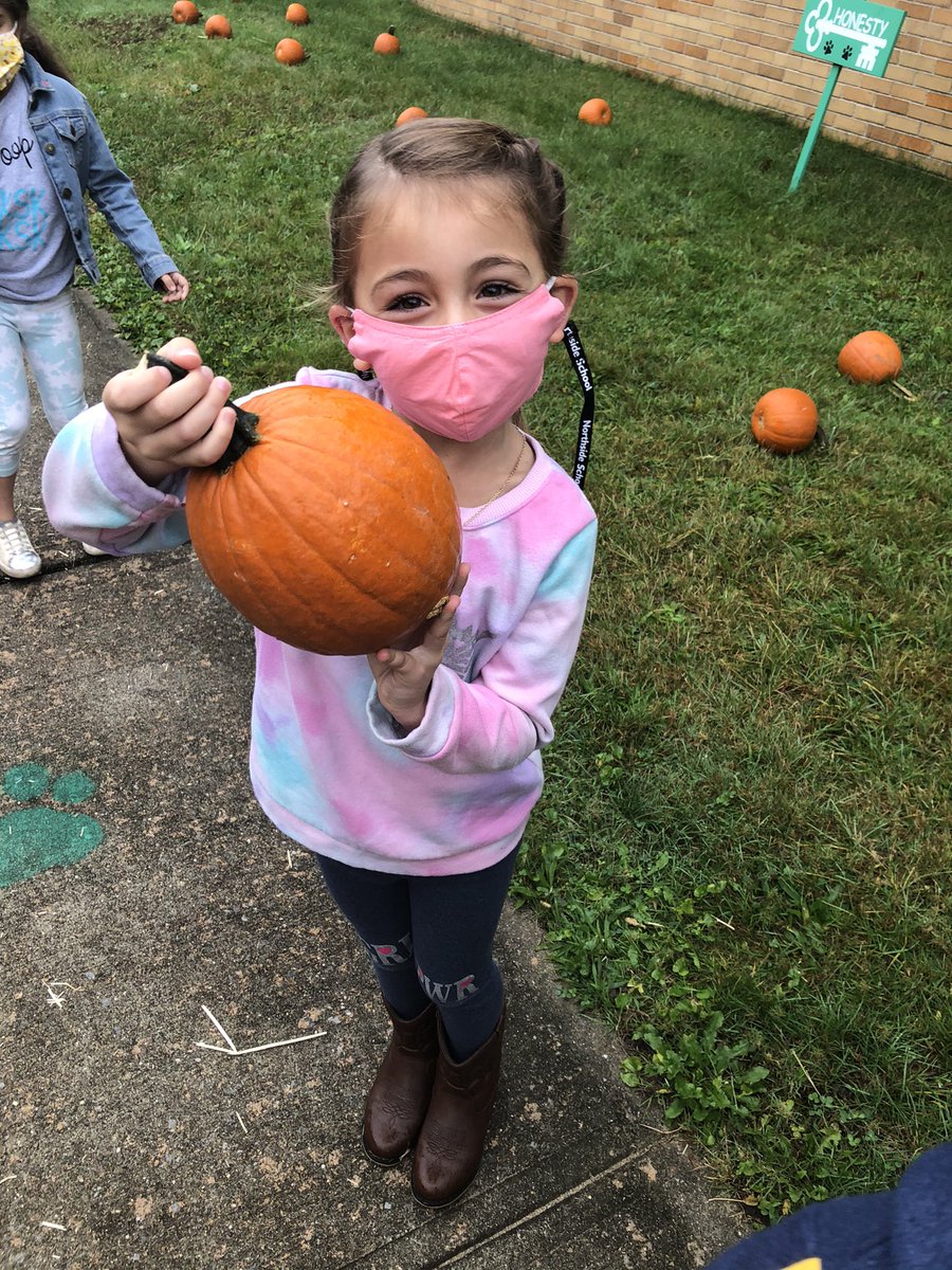 Our very own pumpkin patch!!! We had so much fun! <a href="/NSE_Dalers/">NSE_Dalers</a>