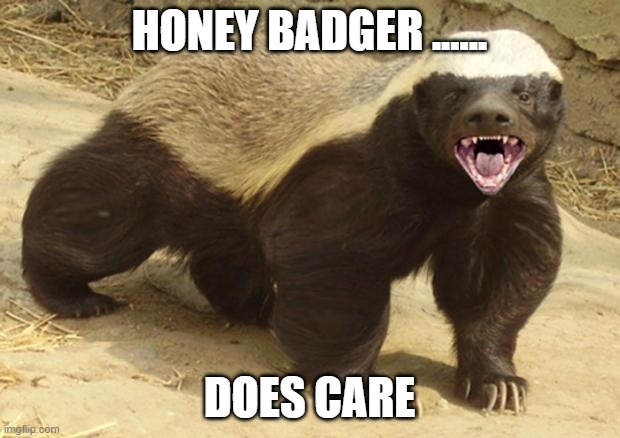 b_integrative's tweet photo. You don't care about the environment? Even the Honey Badger cares about the environment. Buy a Badger. #PreOrderNow #integrative20 https://t.co/Xa43u9PftS