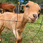 Photo by Animals spotted (@animals_spotted)
