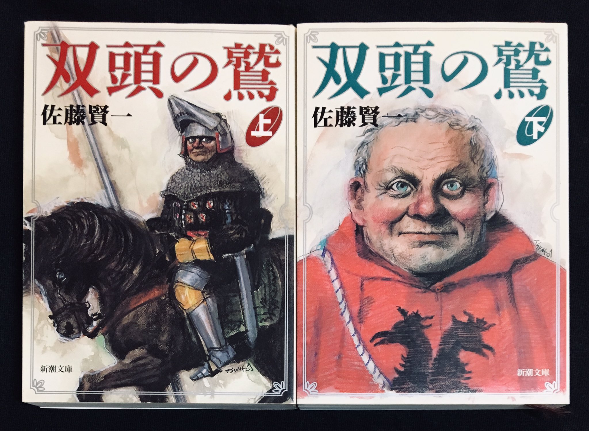 Minoru Kida 解説は 司馬遼太郎 の 戦国 小説かのよう と評す 佐藤賢一 さんの 双頭の鷲 十四世紀末 英仏 百年戦争 下のフランス 巨漢で醜男の貧乏貴族 ベルトラン デュ ゲクラン が 王太子との出会いを機に 非凡な戦略で大元帥にまで出世