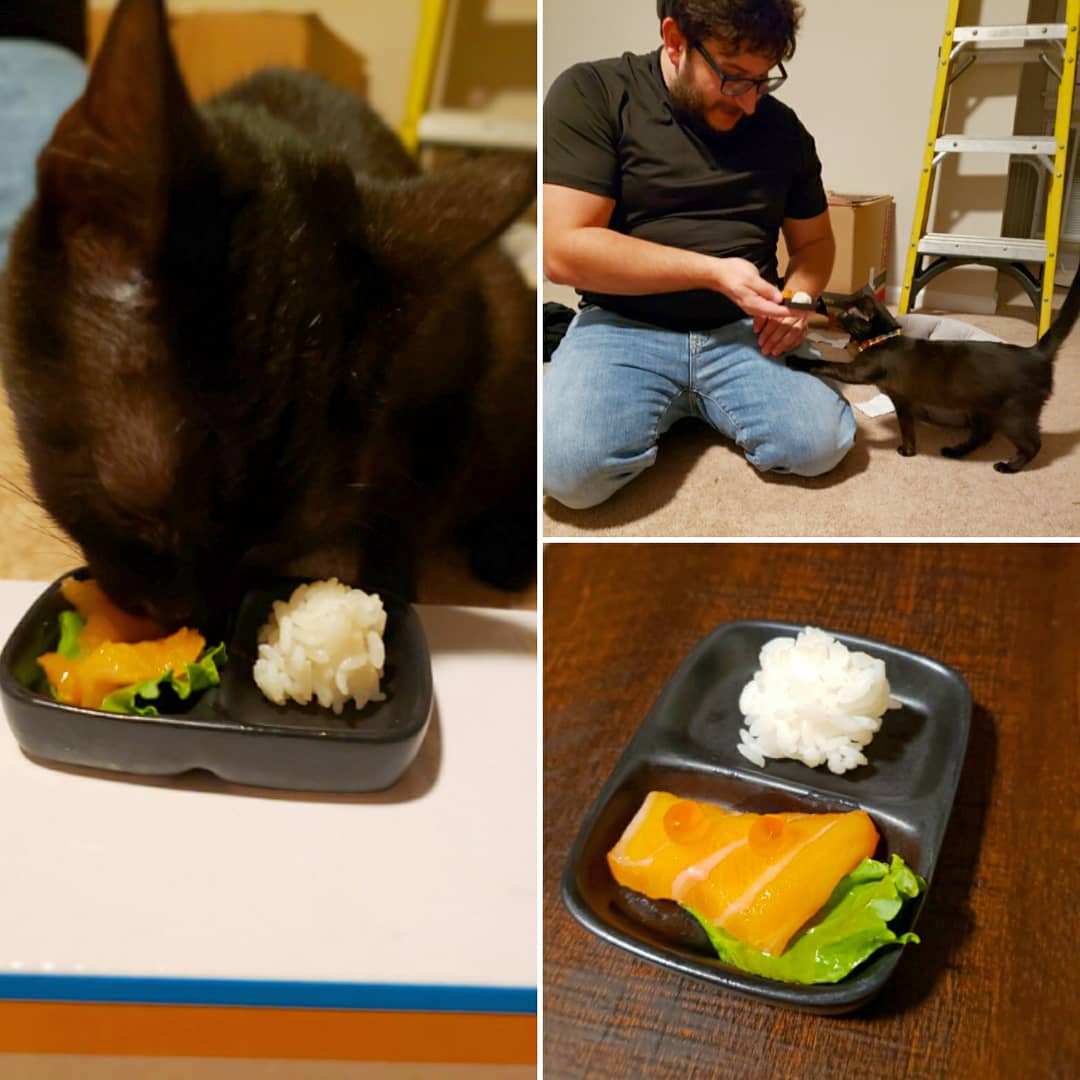 TierraPointer's tweet photo. We're officially *those* extra #catpeople 😂 We eat sushi, Cleo eats sushi 🍣 https://t.co/XLCFcXz4ZA
