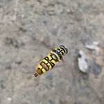 Photo by Animals spotted (@animals_spotted)