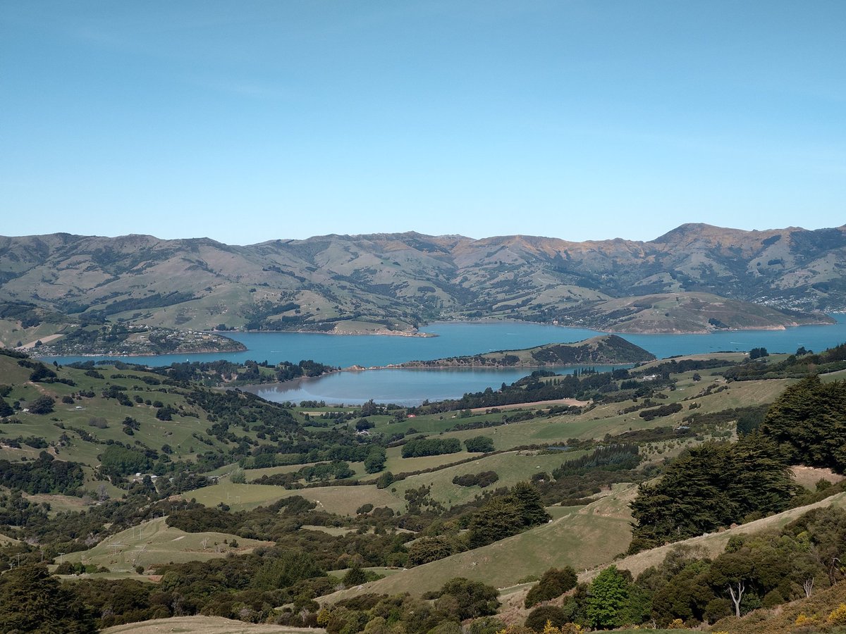 ShelleyHass's tweet image. Enjoying a berry smoothie at the historic Hilltop Pub with this gorgeous view down to Akaroa! #BanksPeninsula #Canterbury #LabourWeekend
