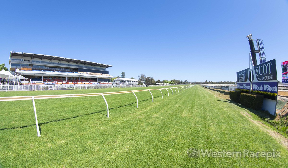 WesternRacepix's tweet photo. Ready for a huge day of #AscotGoodTimes @PerthRacing
#WesternRacepix #IrishDay #CoxPlateDay #AFLGrandFinalDay https://t.co/YIdLiXhrp1