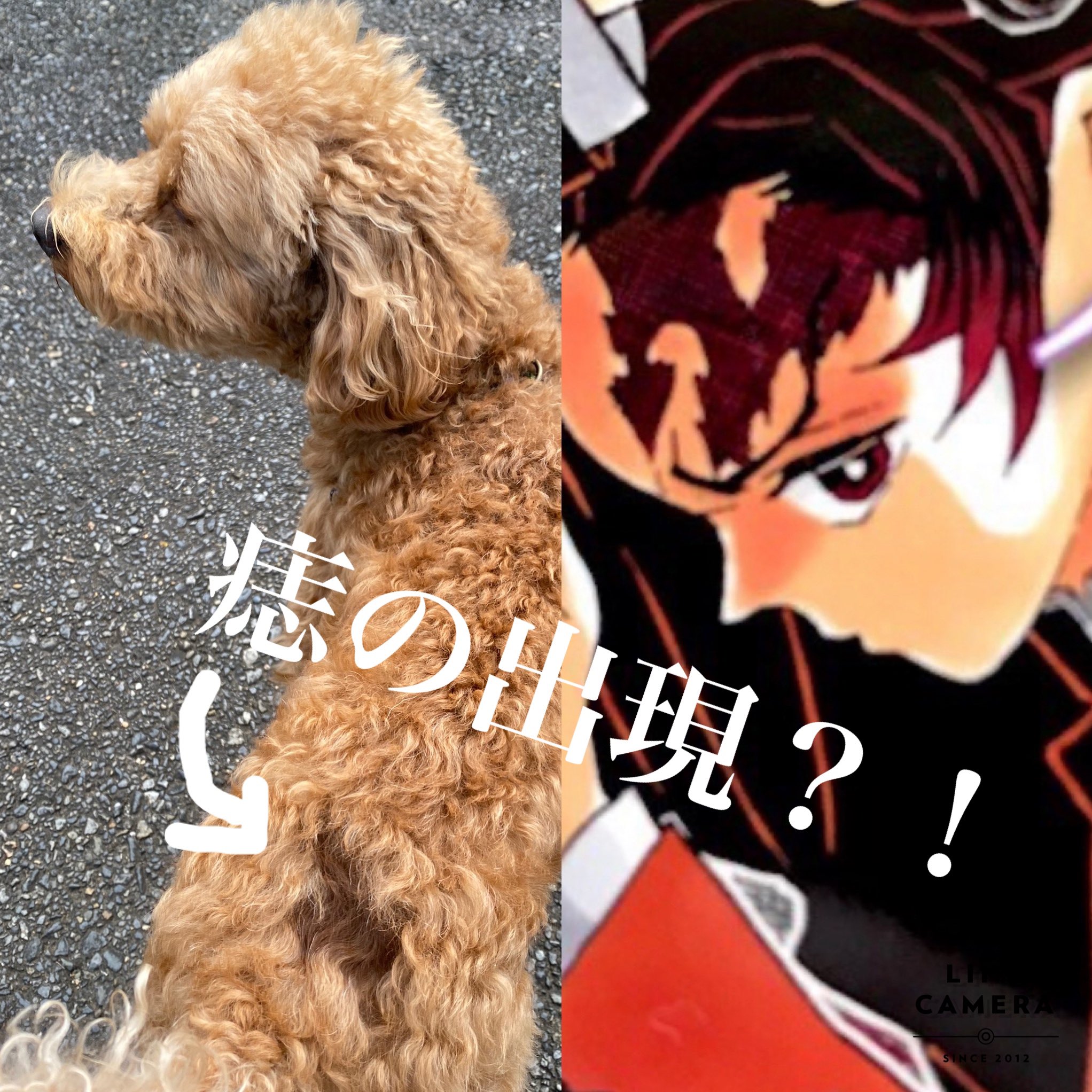 痣者 Twitter Search Twitter