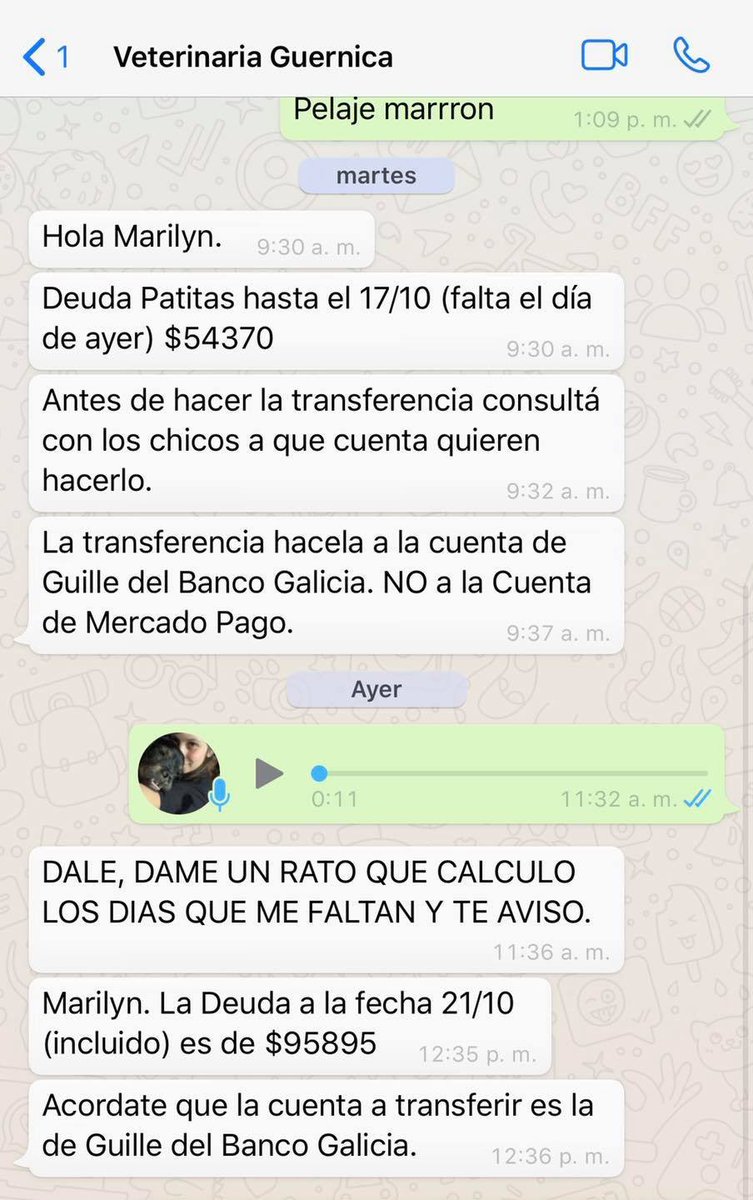 PatitasGlew's tweet photo. Difundí esta publicación en todos grupos que puedas, mándasela a familiares, amigos, conocidos o famosos para incentivarlos a ayudar. 
La única forma de salir adelante es EN EQUIPO! 
No nos dejen solas.🙏🏽 https://t.co/lU0XcxoIMc