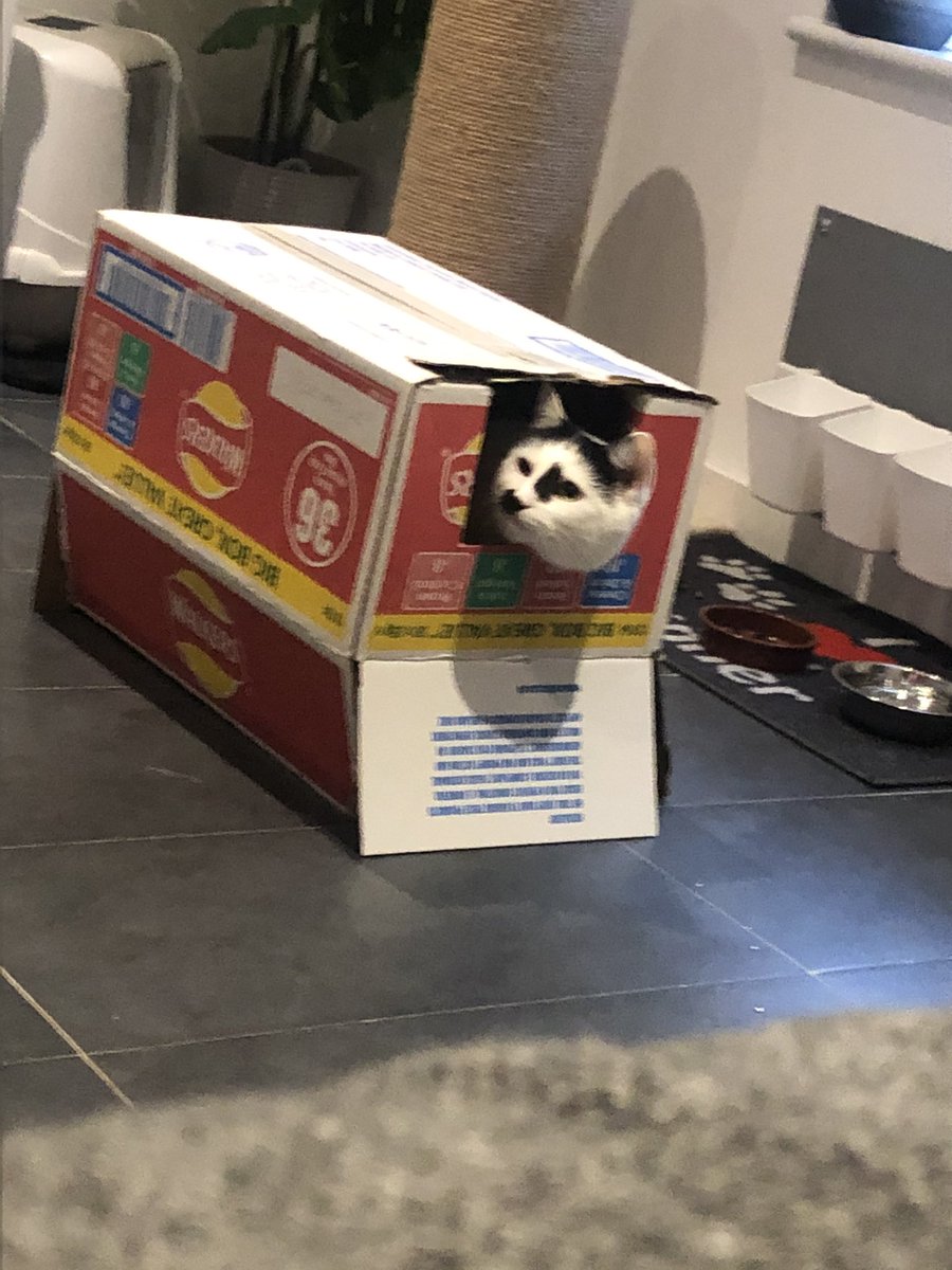 Looking out and asking is it the weekend yet 😂😂