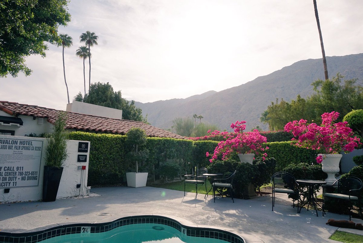 livscraycray's tweet photo. Tgif! 📍Palm Springs, CA ☀️🌊 https://t.co/xx4mxCIwL2