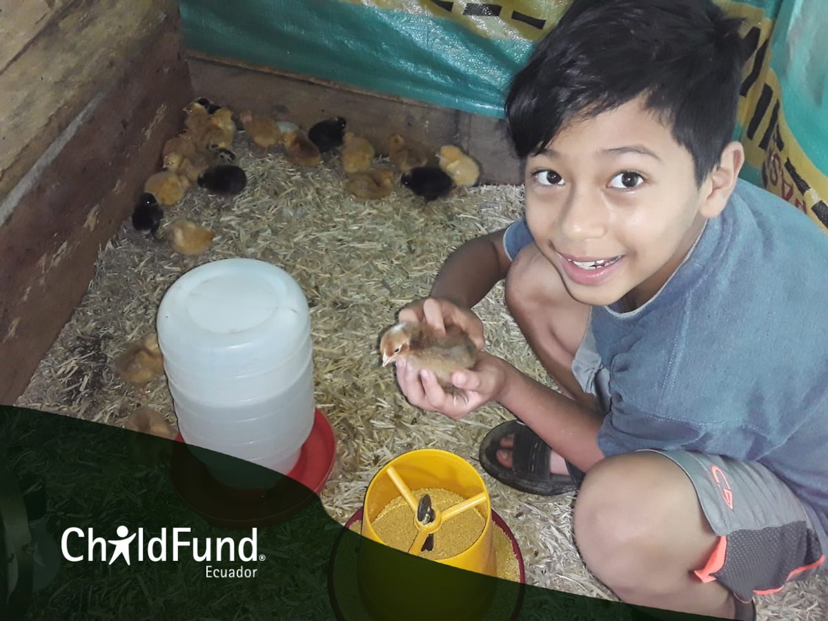 ChildFundEc's tweet photo. #ChildFund apoya la cría de animales menores en zonas rurales para reactivar la economía y mejorar la nutrición familiar. Además, acciones como cuidar, alimentar y jugar con los animales ayuda a que niños/as adquieran valores de responsabilidad en su hogar. #NiñezSegurayProtegida https://t.co/rg8fCYxcU0