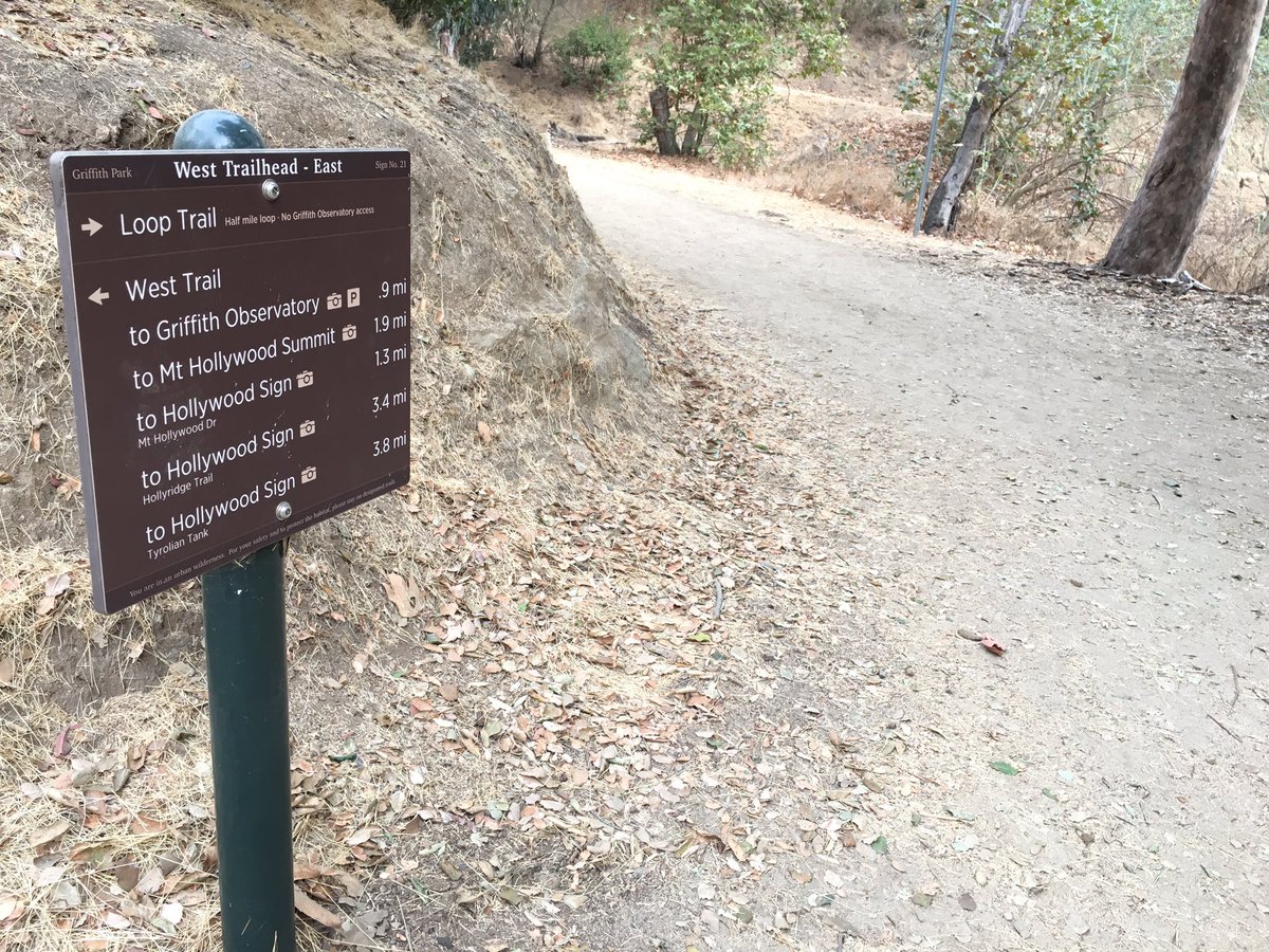 hitman33 tweet media