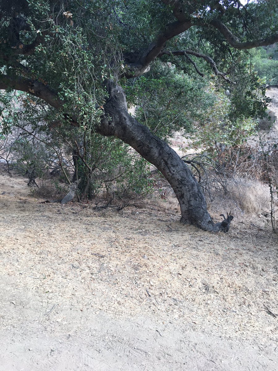 hitman33 tweet media