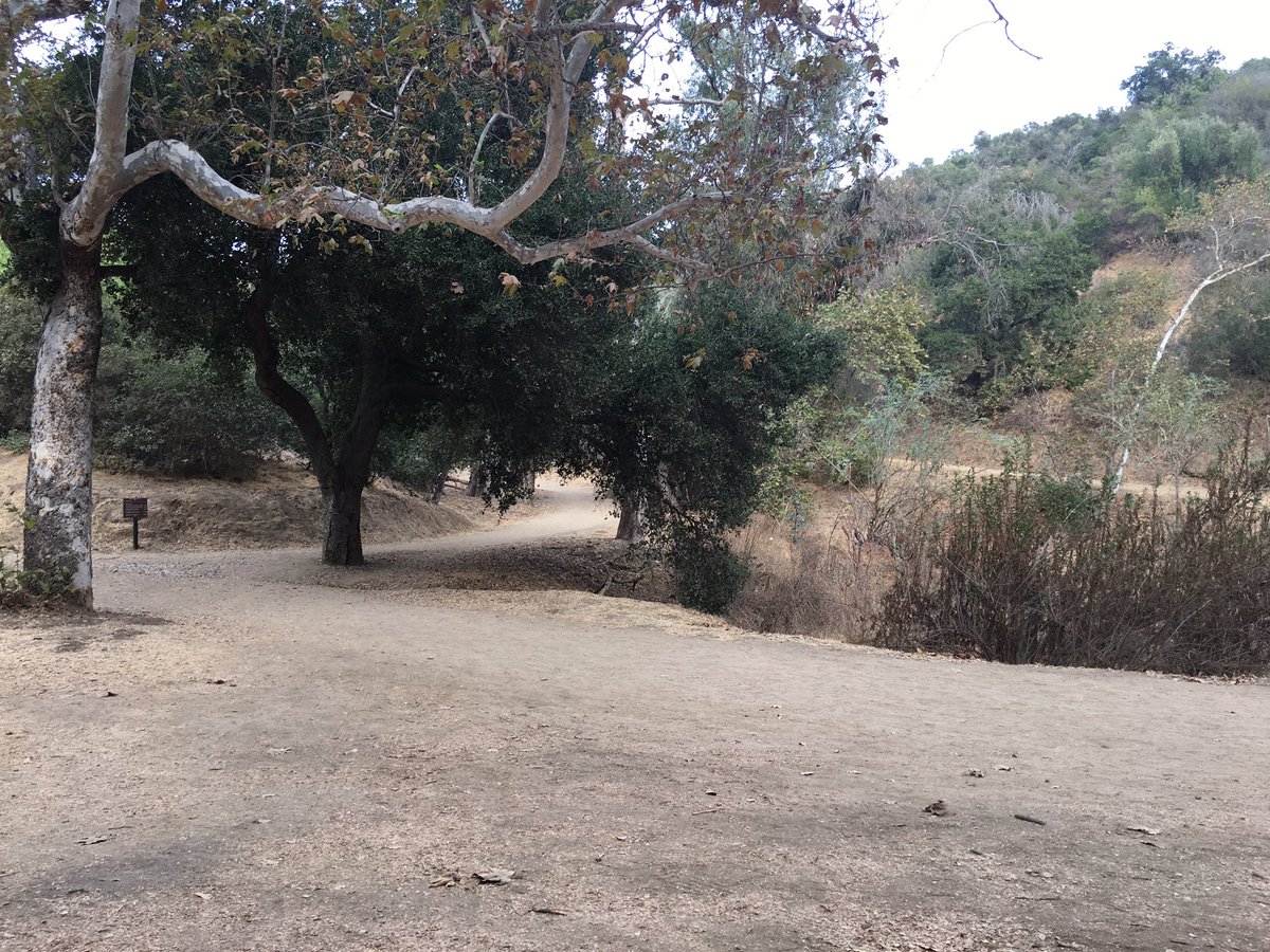 hitman33 tweet media