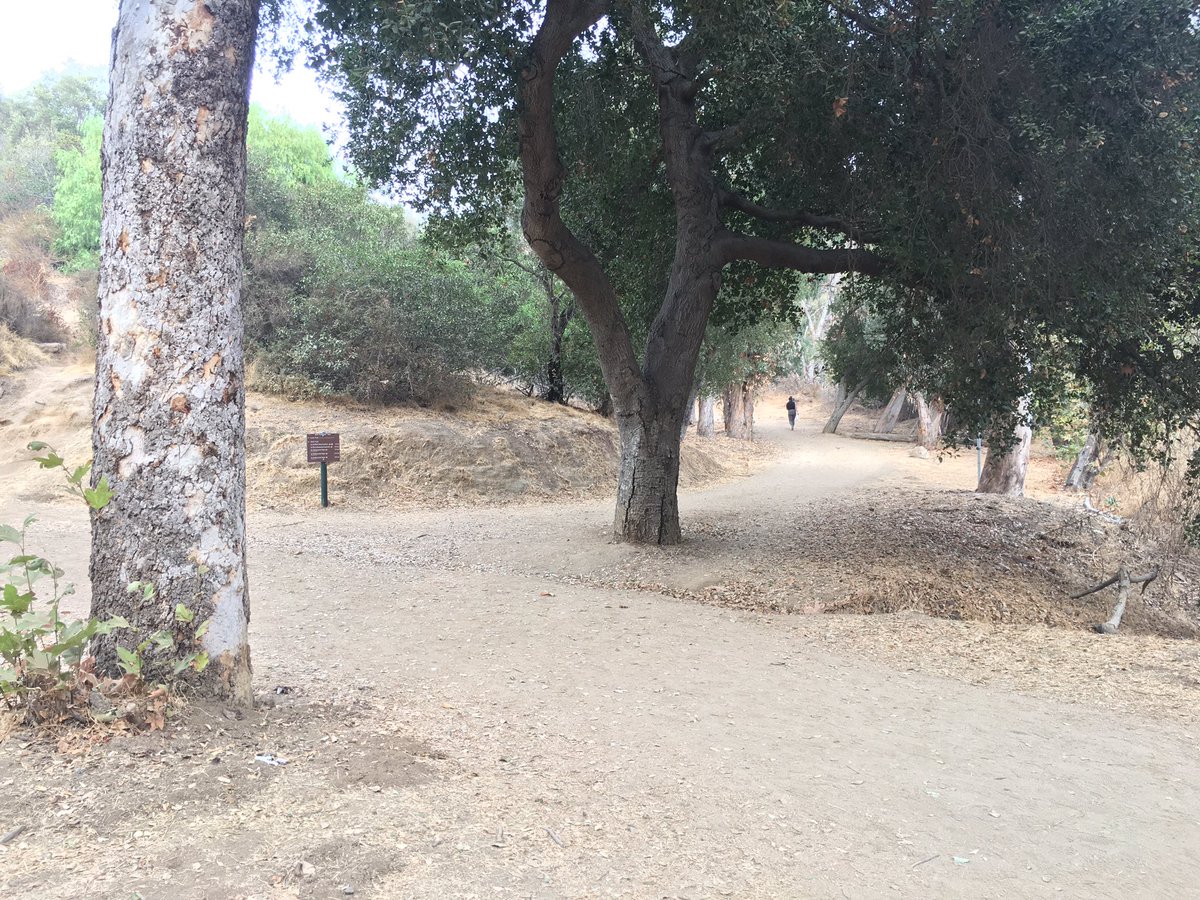 hitman33 tweet media