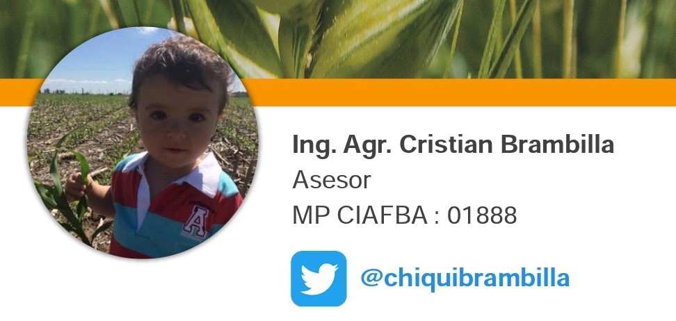 ClaudioSaenz9's tweet photo. Situación Cultivos de Invierno. 3° Informe Asesores Zona Rivadavia / Pehuajo / 9 de Julio / 25 de Mayo. Muchas gracias @chiquibrambilla 🌱🔍💪
 Próximo Informe 23/11. 
@BASF_Agro_ARG
#BASFinformes
https://t.co/KqVwgO5rxD https://t.co/rZBGPQjwiw