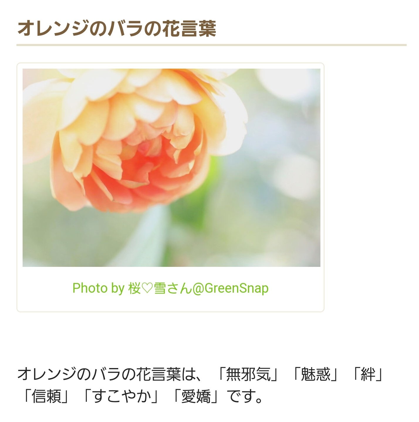 荻原 ユリスの病室 に飾られてるバラ オレンジの時は5本と8本 白いバラの時は6本と9本 しおれて枯れてる だったんだけど 花言葉も本数の意味もあまりにユリスで京都アニメーション大好きありがとうヴァイオレット エヴァーガーデン ヴァイオレット