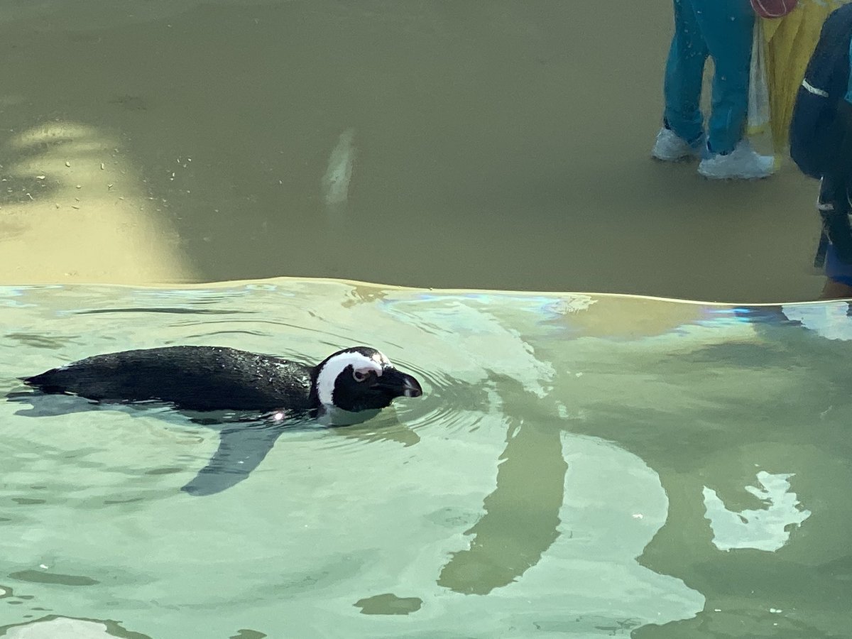 baske41468585's tweet photo. 四国水族館 https://t.co/nj9iHbr46U
