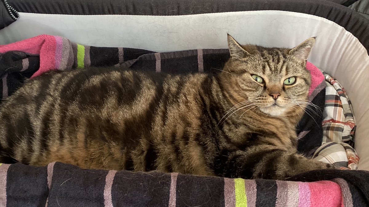 ... immer wenn ich „naturbrav“ höre, schrecke ich auf ... *hektischmeditier*