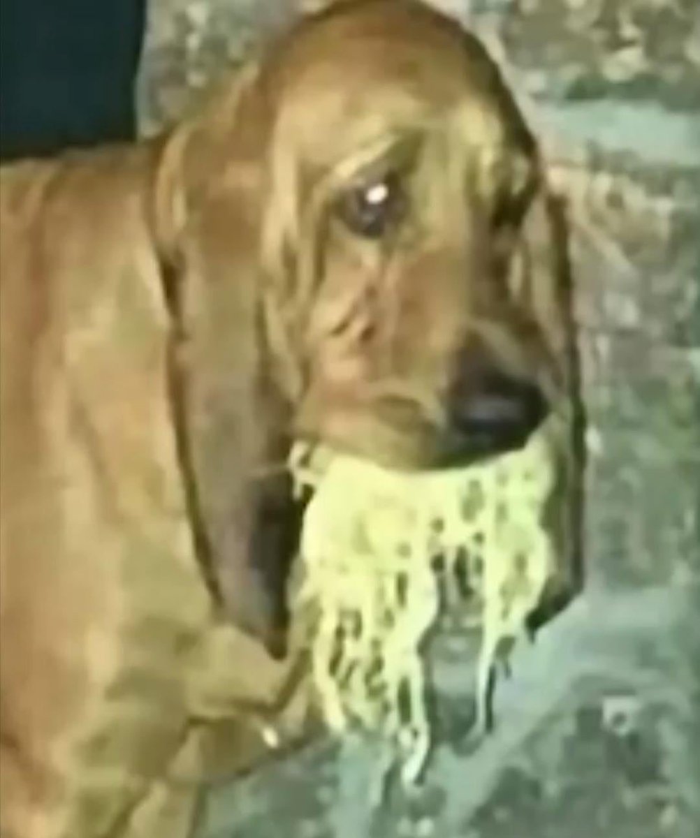 waitress: how’s everything tasting?
me: