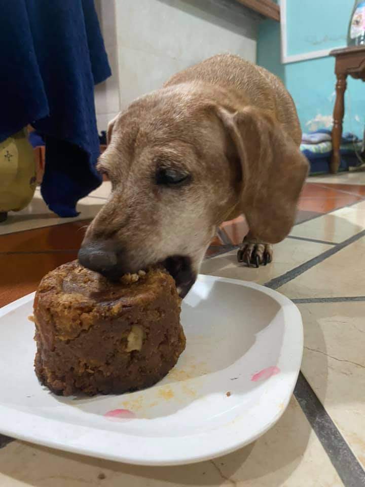 SVivas19's tweet photo. EL ABUELITO FESTEJANDO SUS 15 AÑOS, MIRA COMO COME SU TORTITA DE CUMPLE
DECILE FELIZ CUMPLEAÑOS.!!! https://t.co/xs7zOGYjg8
