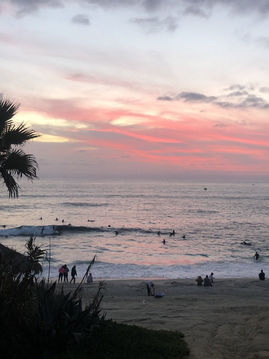 van_essavan's tweet image. #sunsetsurfing