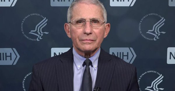 CNN Politics tweet media
