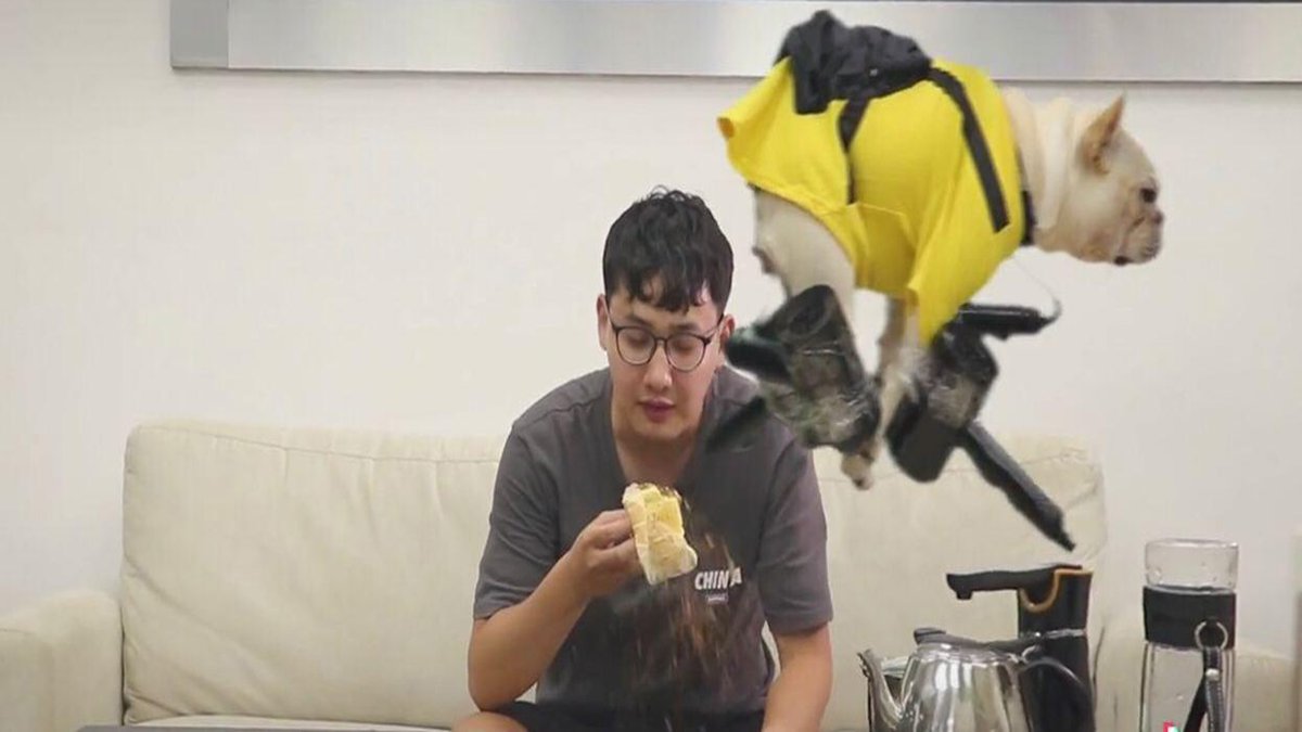 hole_fishing's tweet photo. Dog reactions | Dog Reaction to Cutting Cake https://t.co/lqasi97FWq via @YouTube https://t.co/yepT7M9xWX