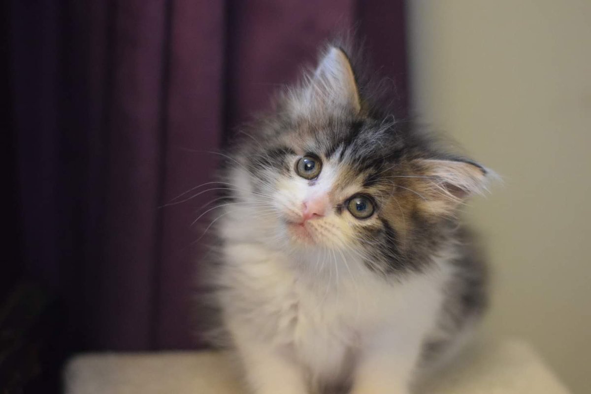 she got cuter tho dw
