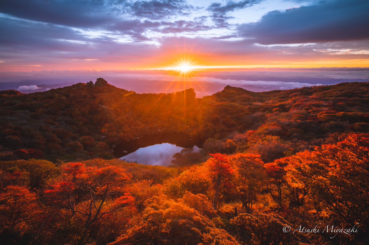 大船山 Twitter Search Twitter