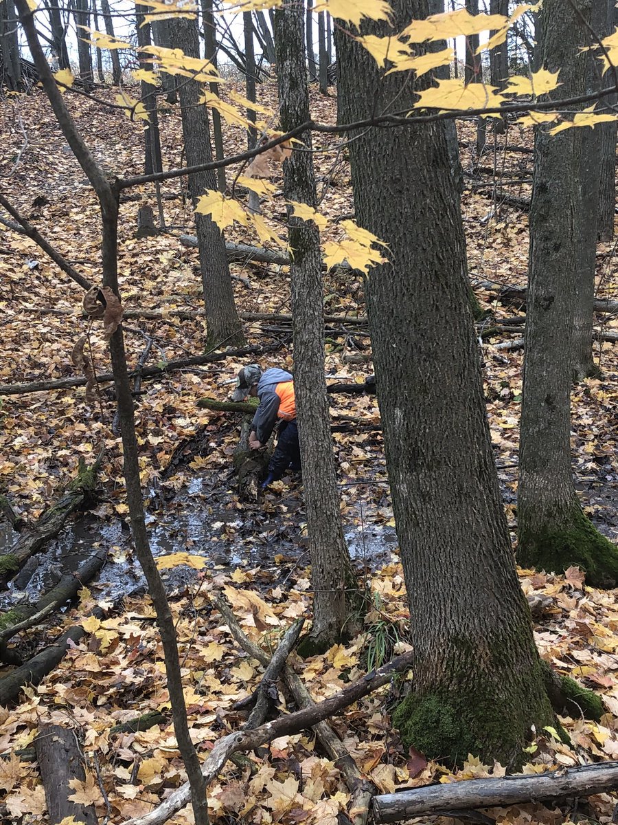 JenPhelan5's tweet photo. We are so fortunate to have these beautiful trails to wonder and explore. @Beachburg_PS @RCDSB https://t.co/JUQml0C72Y