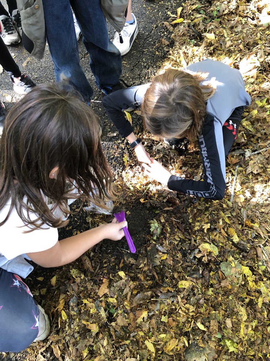 kkfielding's tweet photo. Collecting soil samples in Port Credit - I wonder what interesting things we’ll find in them? https://t.co/FI4CF9QWTF