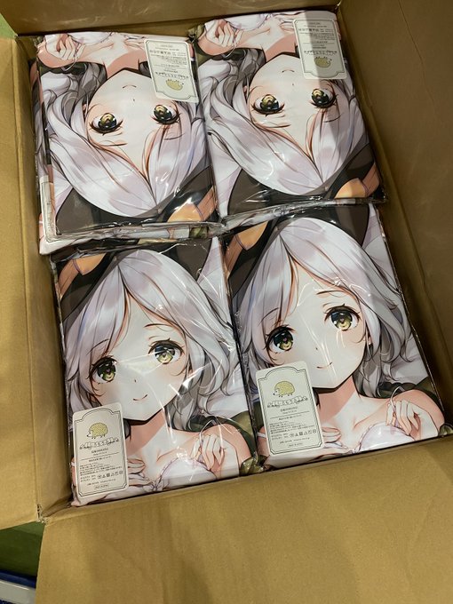 箱詰めされたこいしちゃんが届いた。 