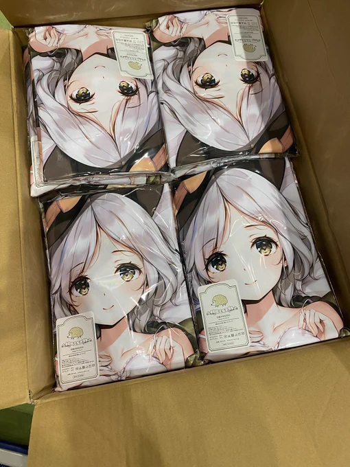 箱詰めされたこいしちゃんが届いた。 