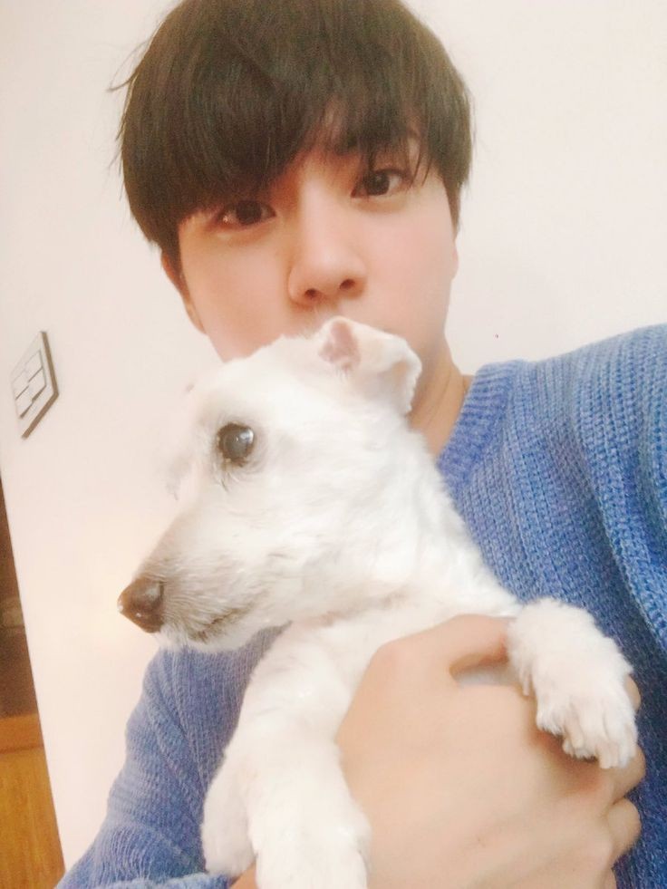 +to which I'll add SJ's brother's post, and the pup that's been talked about.