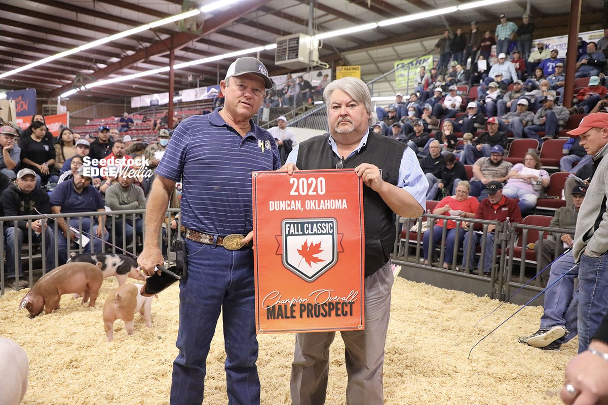 NationalSwine's tweet photo. #FallClassic2020 Sifters Ryan Sites & Willie Kirkpatrick named Glenn Craft Ch. Overall Male Weanling with his Ch. Dark Cross. He sold for $4,250. First Take Genetics were named Ch. Overall Gilt Weanling with their Ch. Dark Cross. She sold for $17,000. https://t.co/tWjfDYgK1z. https://t.co/lnvn4wa4n7