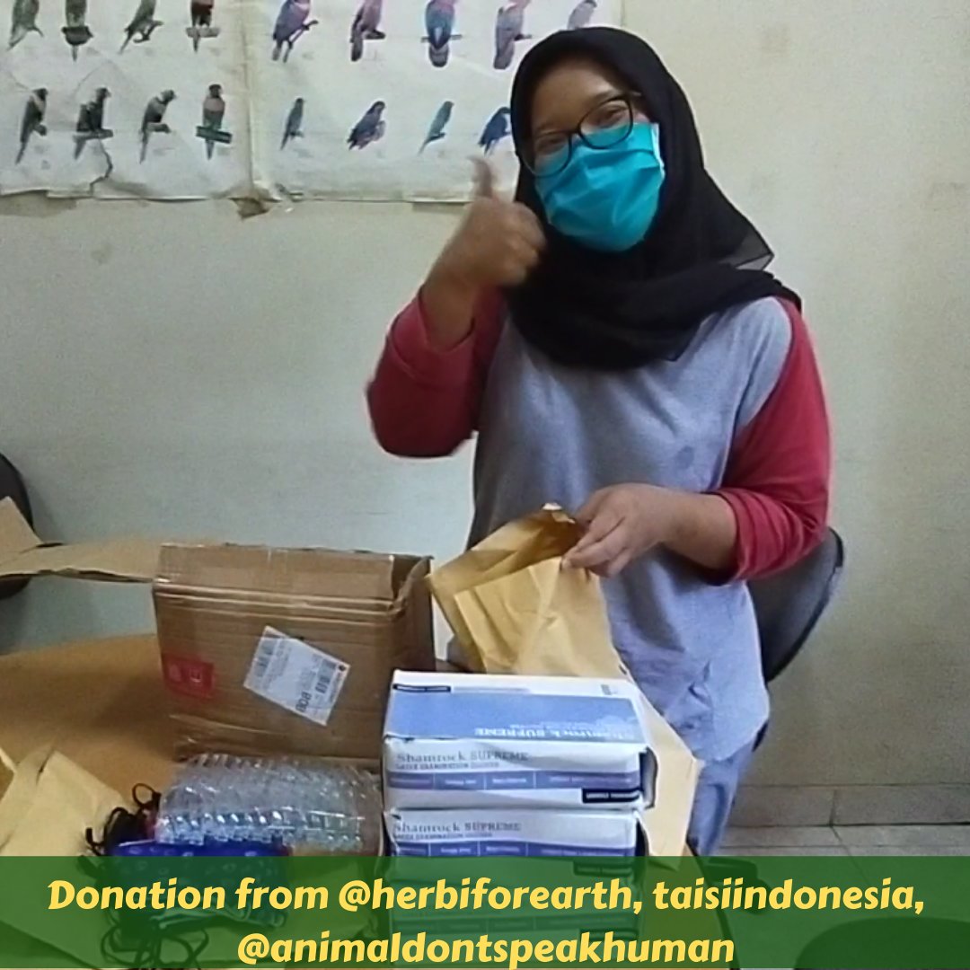 TasikokiEdu's tweet photo. Bulan ini kami menerima donasi APD dan obat2an dari beberapa sahabat dan teman melalui @asliqewan, @taisindonesia @herbiforearth, @animaldontspeakhuman, serta Gembira Loka Zoo Yogyakarta
Kami ingin mengucapkan terima kasih banyak atas bantuanya, https://t.co/zjvo9URKyw