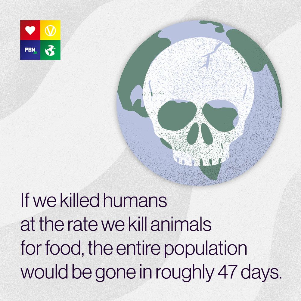PlantBasedNews's tweet photo. Approximately 60bn land animals are killed per year worldwide for food. The human population is 7.8bn (as of October 2020)

60bn (animals)/365 (days) = 164,383,561 (animals killed per day)
7.8bn/164,383,561 = 47 days https://t.co/Md1Jwypukh
