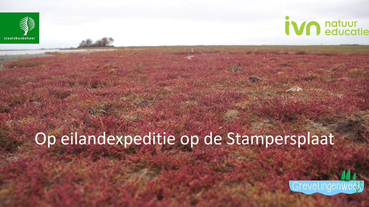 In de Grevelingen liggen verschillende eilanden. Ik ga vandaag op stap met Nellie naar één van deze eilanden; de Stampersplaat. Ga mee aan boord via een nieuwe 'online excursie' op ivn.nl/grevelingenwee….

#staatsbosbeheer #ivnnatuureducatie #grevelingen