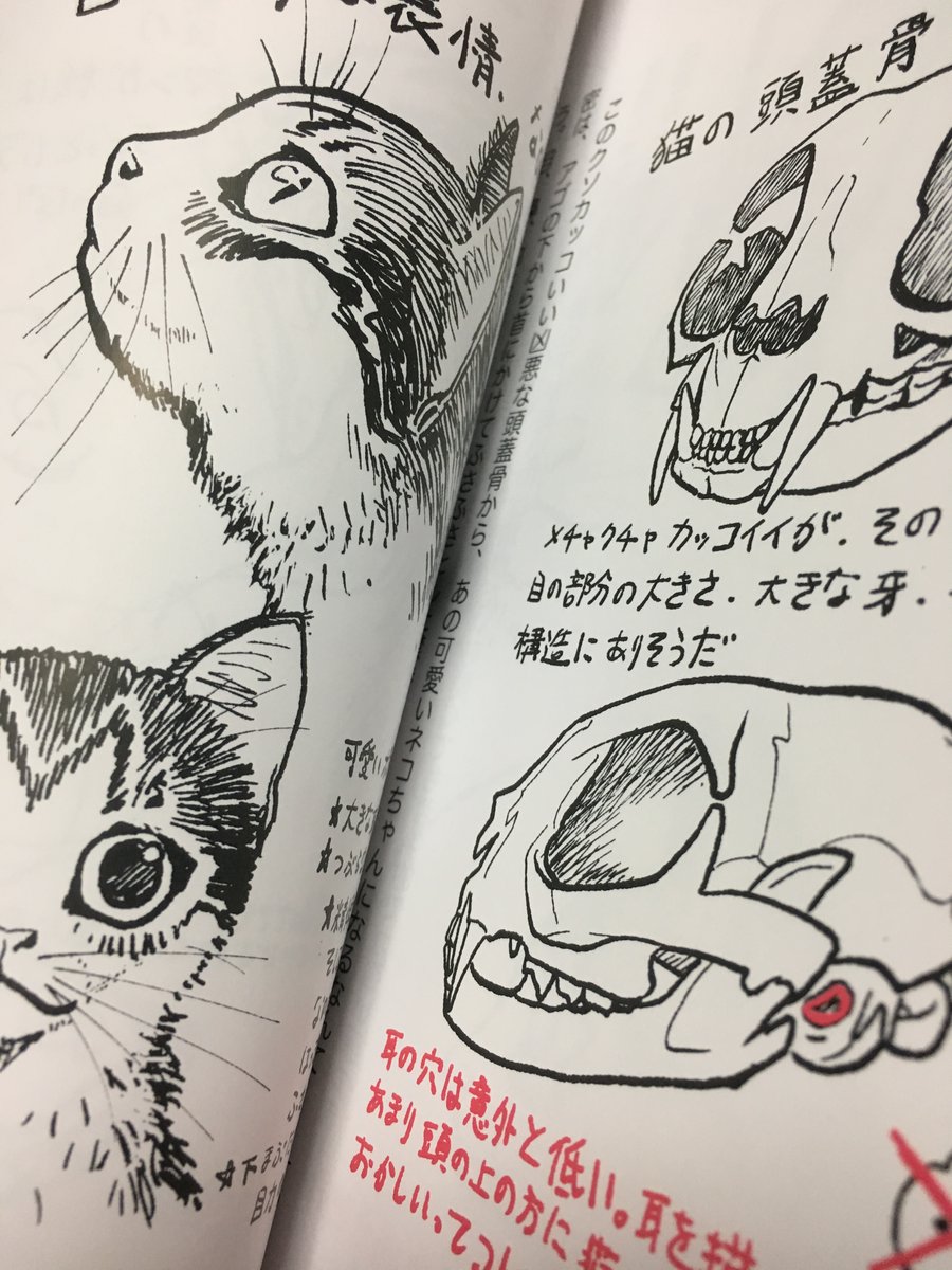 @necomiamia あれ、こんなところにこんな本が(><;

ネコカクマク 〜猫画上手く描ける方法〜 | studioff https://t.co/QuKDFuujyA   #booth_pm 