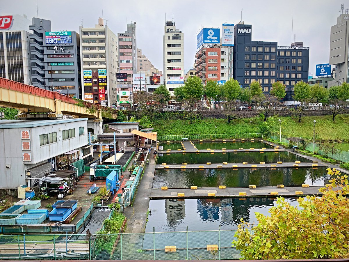 猫間川よしを Sur Twitter 東京でまずは おそ松さん の聖地巡りをしてました 市ヶ谷駅前の釣り堀 吉祥寺サンロード商店街に吉祥寺ダイヤ街 京王井の頭線吉祥寺駅 映画館の吉祥寺プラザは看板が新しくなってました まあとにかく人が多い