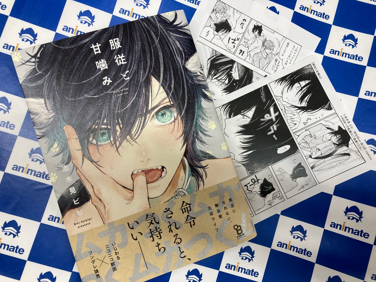 新刊情報】志木見ビビ先生の「服従と甘噛み」が本日入荷👍 アニメイト