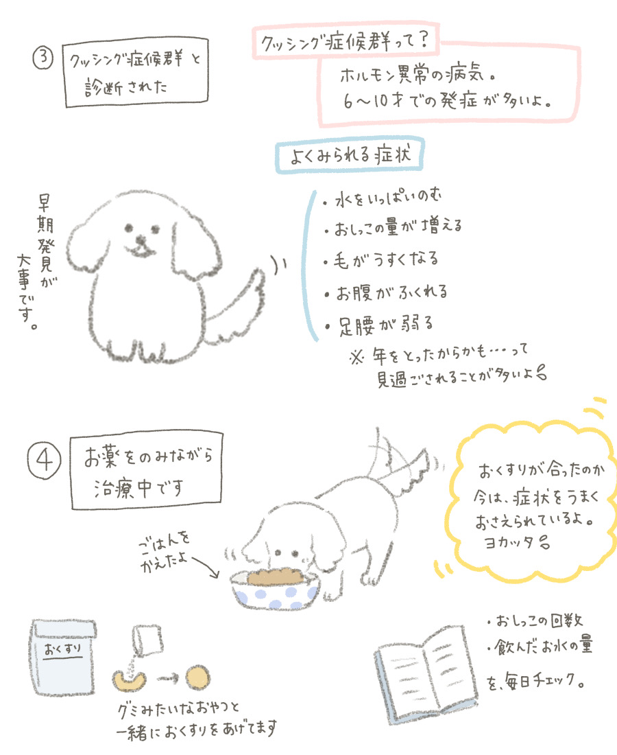 ちょろぼー ゆるイラスト على تويتر クッシング症候群という病名を今回初めて知ったのですが 犬の場合はよくみられる病気らしいです 犬の病気だと思い込んでたので 色々調べてたら人間の情報も出てきてびっくりしました