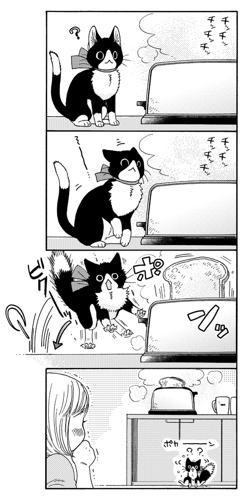 ねこまたと とーすたー? 