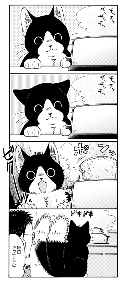 ねこまたと とーすたー? 