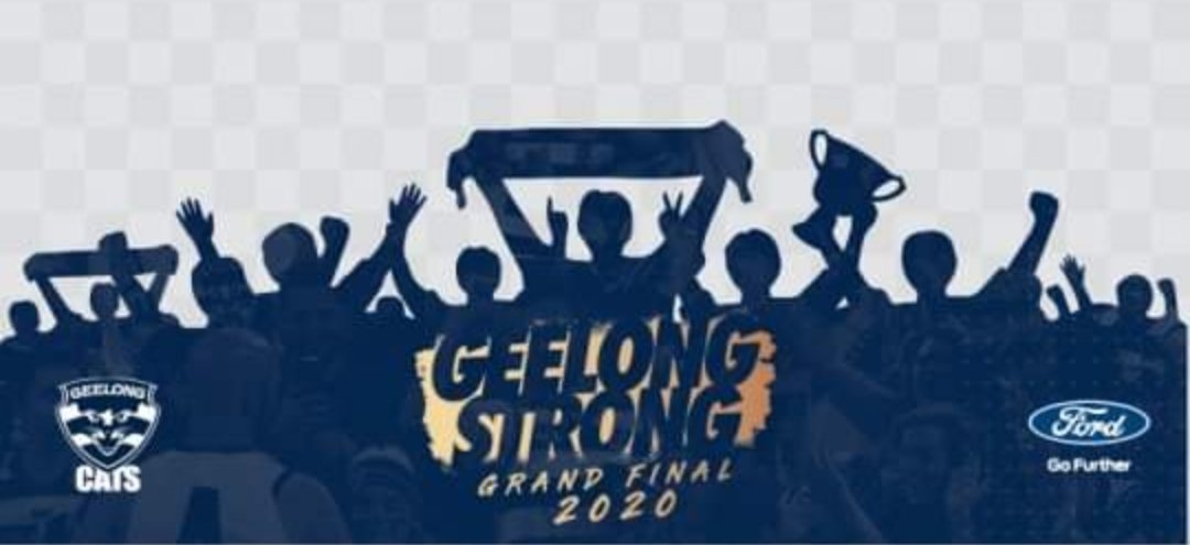 Go Cats 🐱🇦🇺