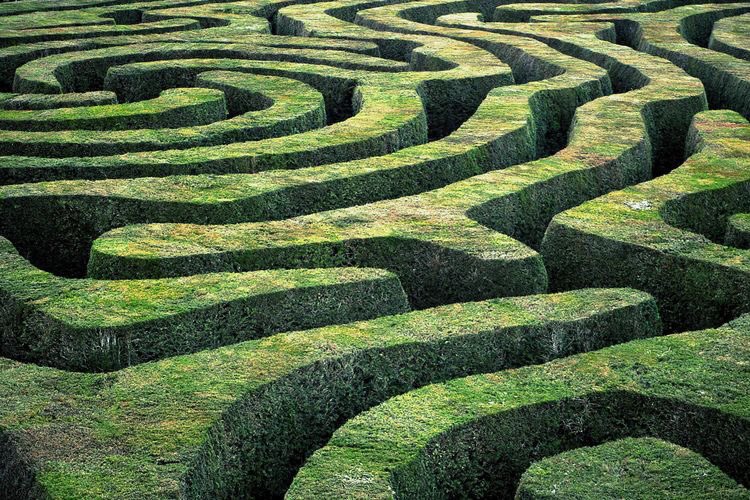 Labyrinth-an intricate combination of paths or passages in which it is difficult to find one's way or to reach the exit...