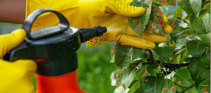 hargatarif's tweet photo. #Harga Fungisida Amistartop 325SC (50 ml, 100 ml, 250 ml) - https://t.co/DWLNH672V9
#Cair #Daun #Dosis #Hama #Petani #Semprot #Tanaman https://t.co/pULwcDUwN9