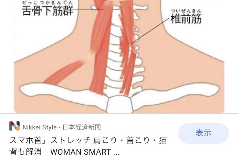 𝑪𝑯𝑰𝑯𝑶 V Twitter そういえば首元が片方腫れているとのことで血液 エコー検査してバセドウ病 橋本病 癌などチェックしたが異常なし この辺りの筋肉がただ張ってるだけなのでは と甲状腺疾患専門医に言われたがどうなの